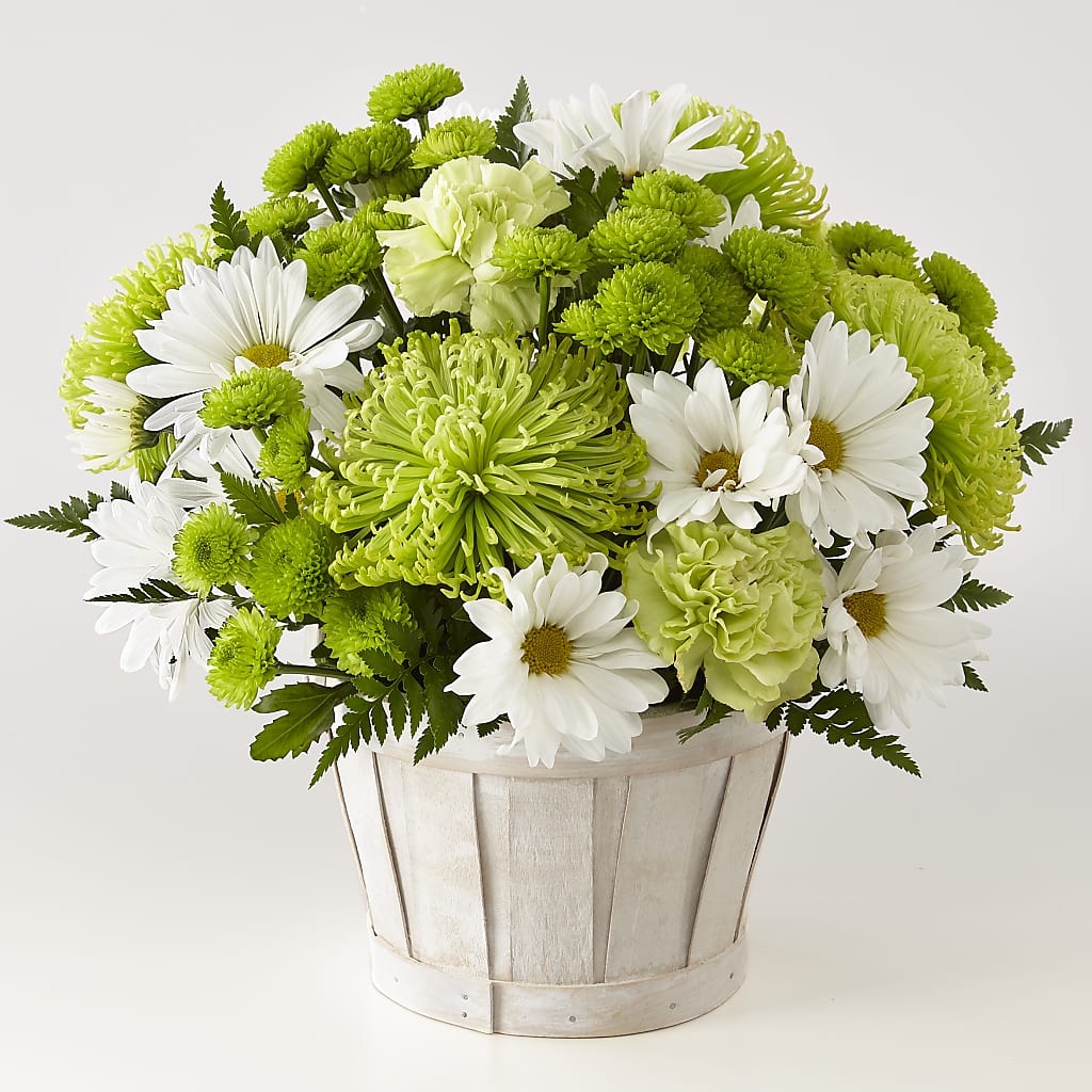 Lucky Charm Basket (Standard) – The Happy Florist, Sanford FL