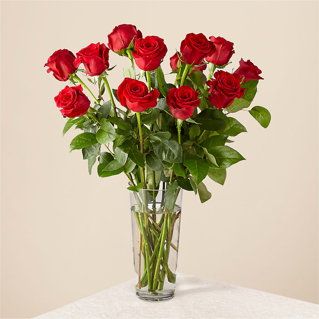 Long Stem Red Rose Bouquet – The Happy Florist, Sanford FL
