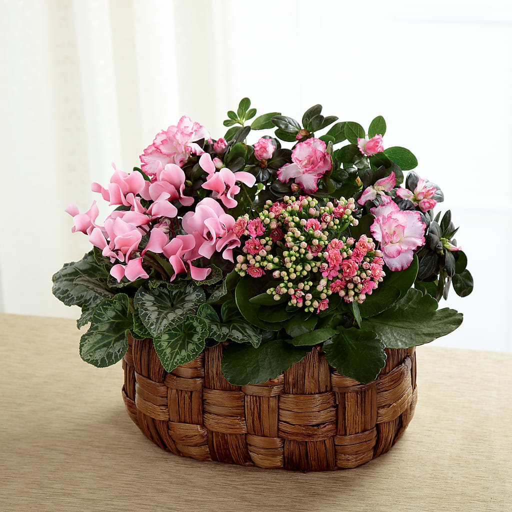 Pink Assortment – The Happy Florist, Sanford FL