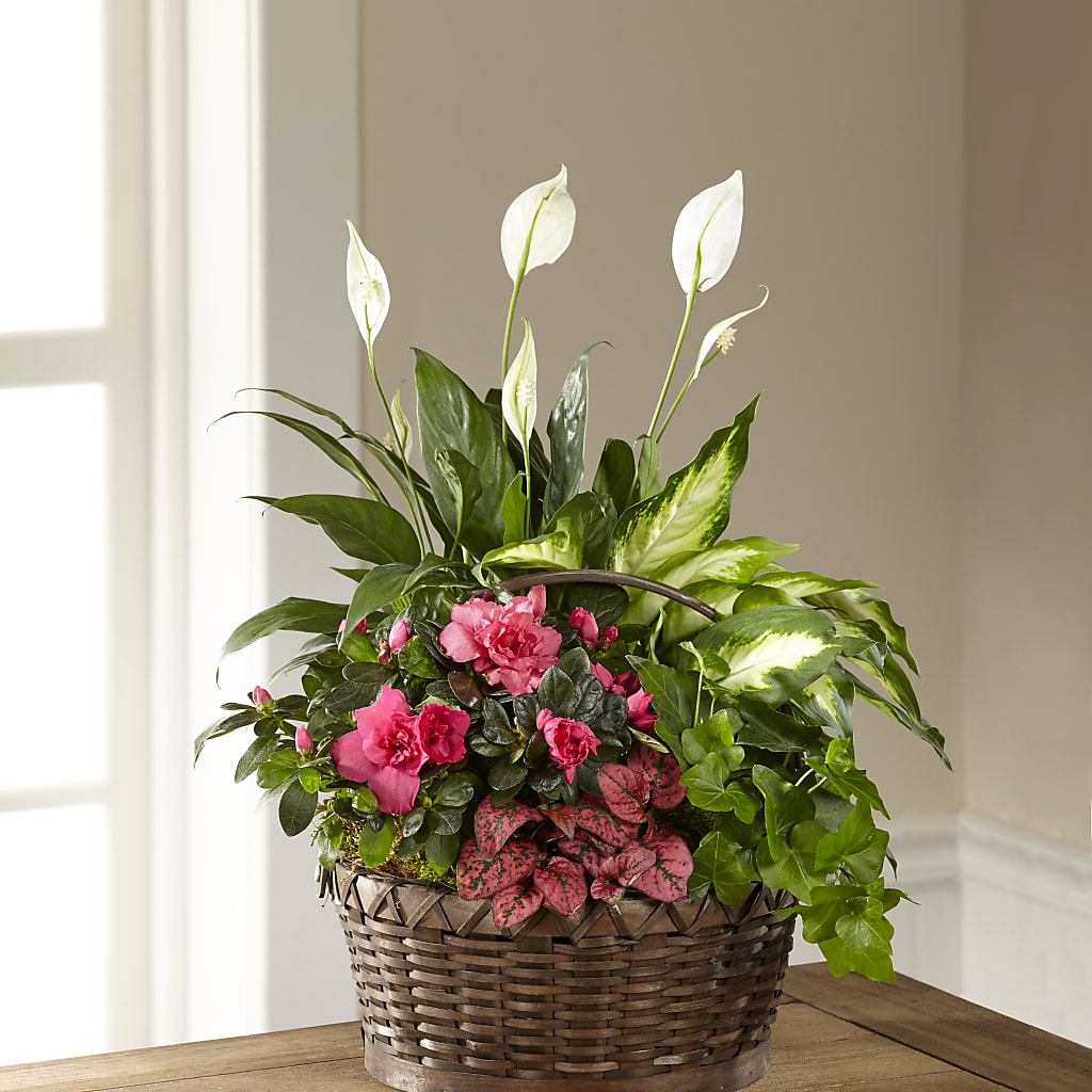 Dream in Pink Dishgarden – The Happy Florist, Sanford FL
