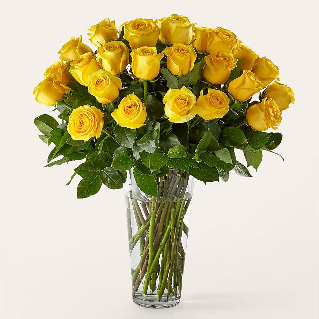Long Stem Yellow Rose Bouquet – The Happy Florist, Sanford FL
