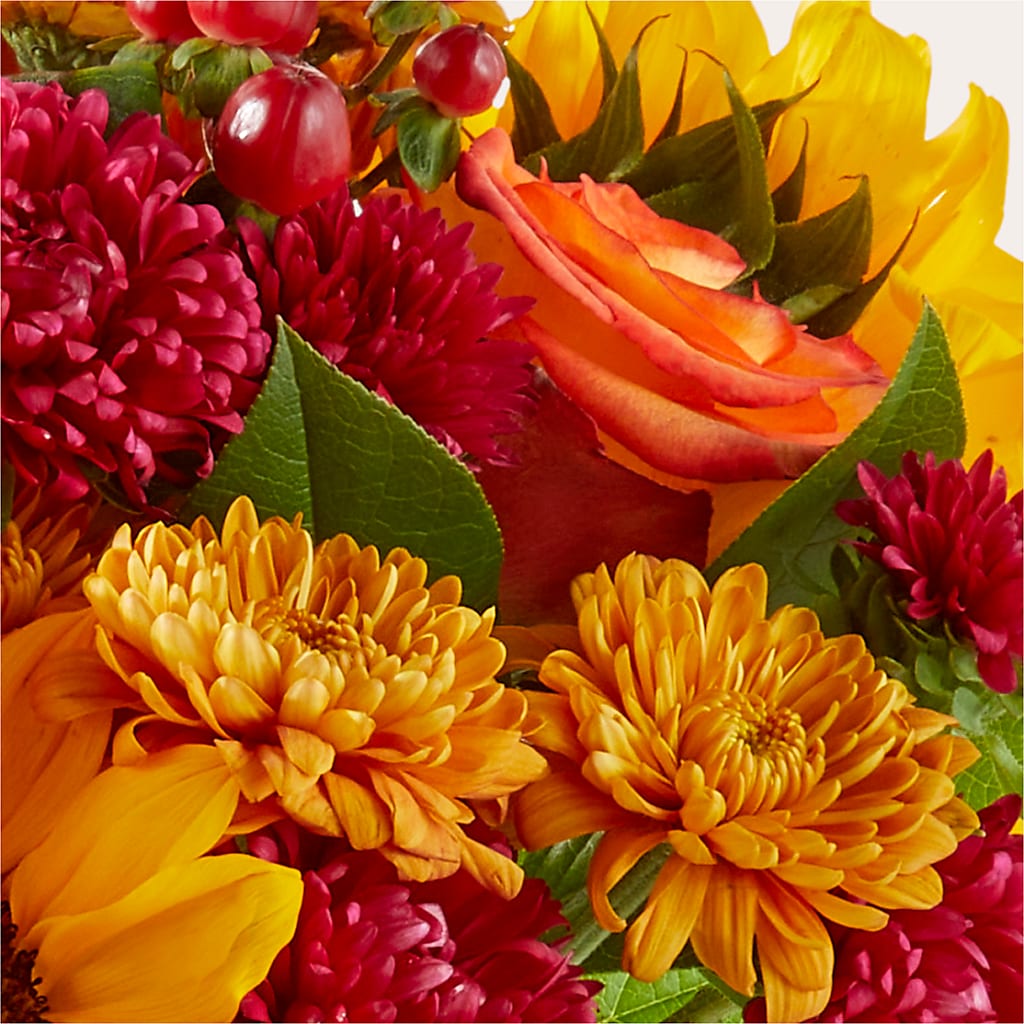 Sweater Season - A Florist Original – The Happy Florist, Sanford FL