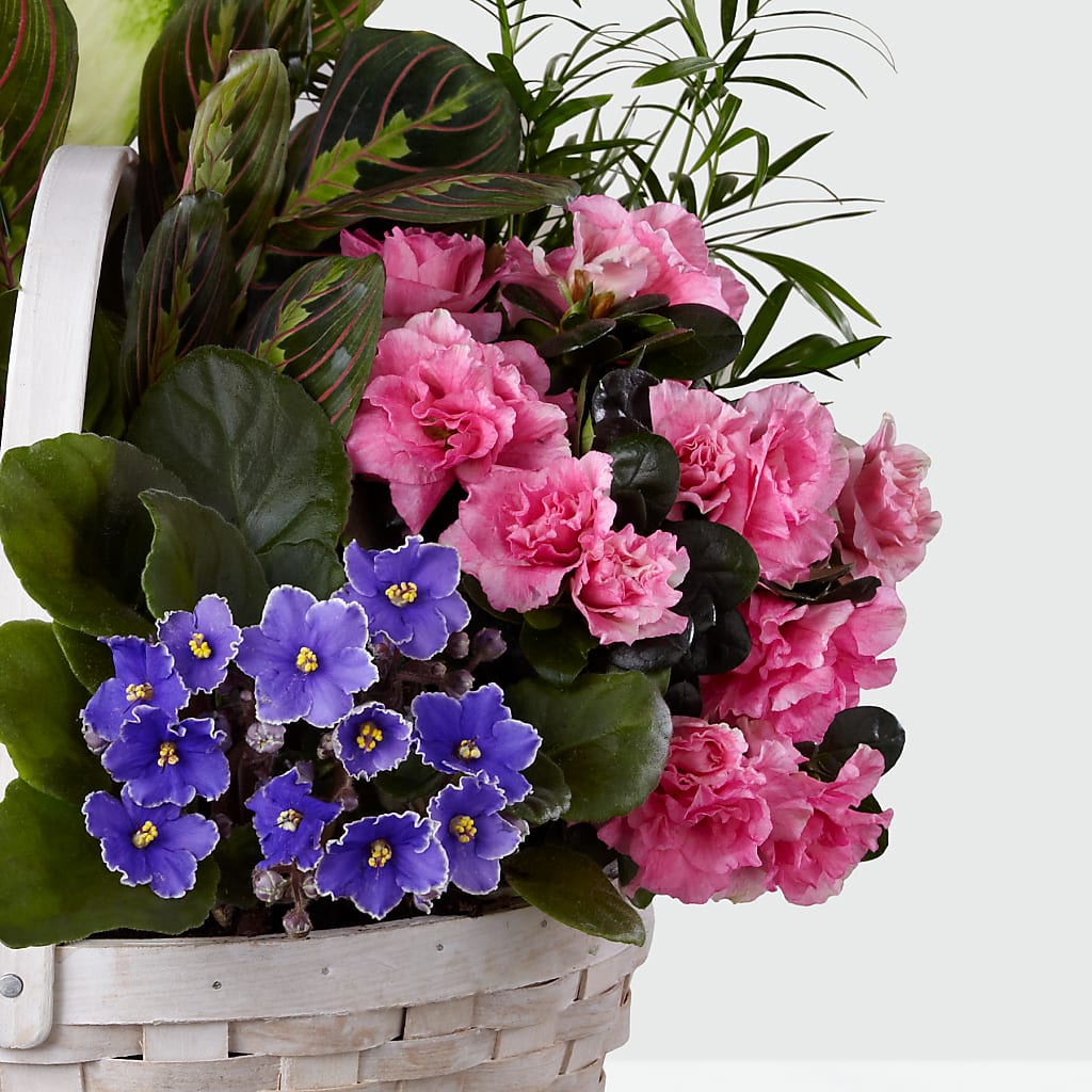 Peaceful Garden Planter – The Happy Florist, Sanford FL