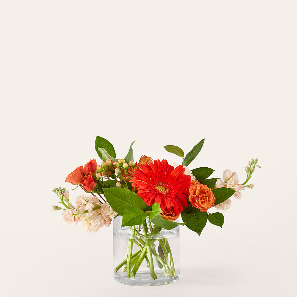 Paloma Please Bouquet – The Happy Florist, Sanford FL