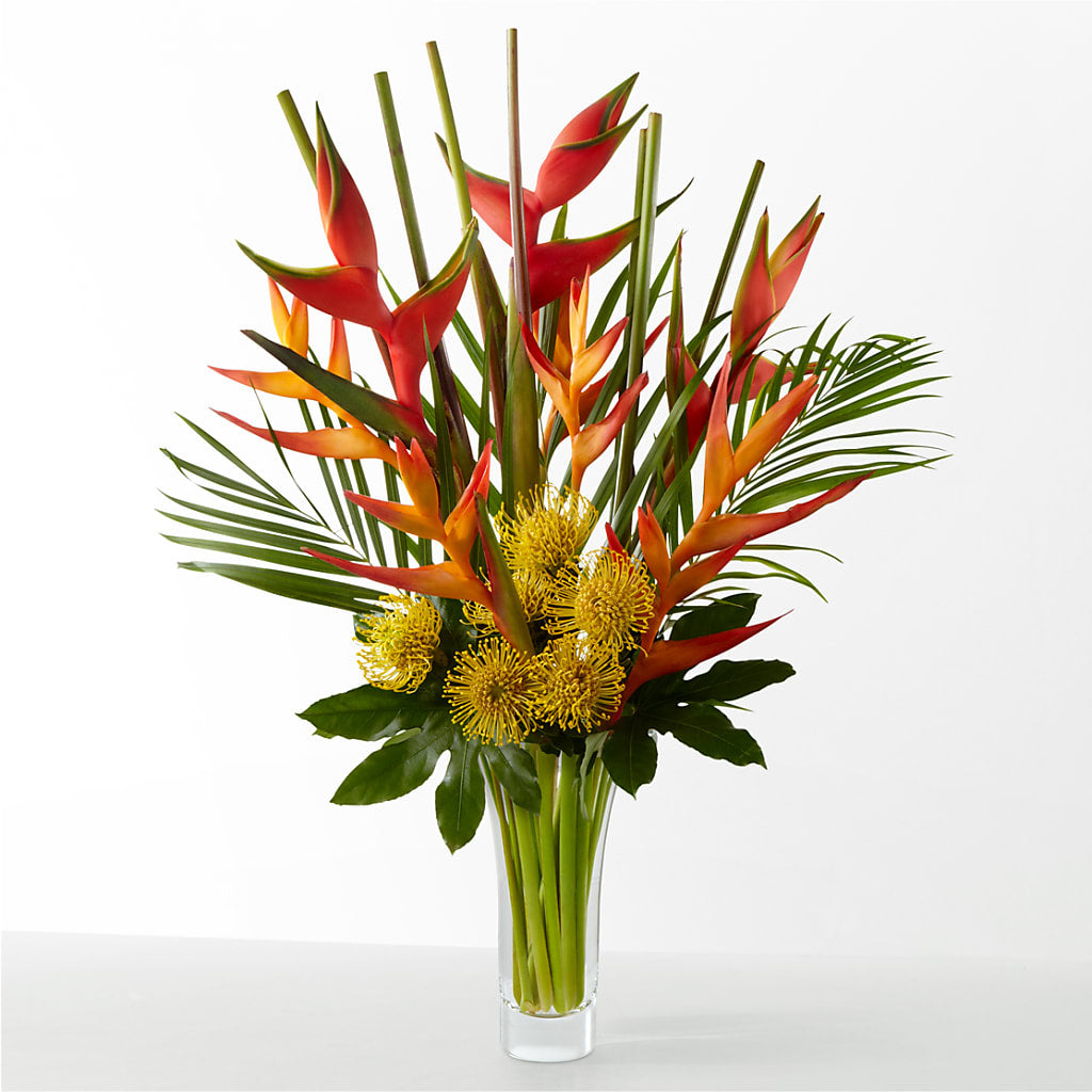 The Drama – The Happy Florist, Sanford FL