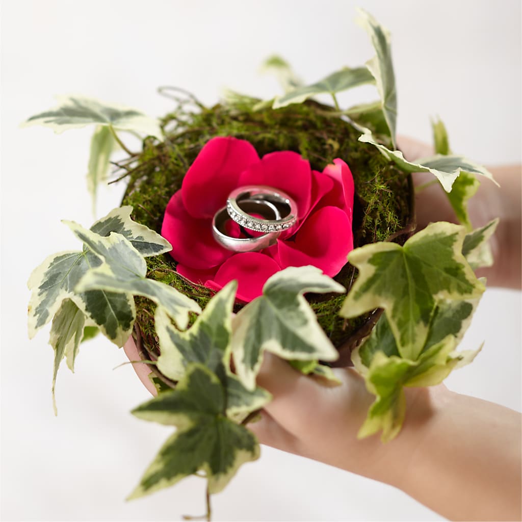 Lila Rose Ring Nest – The Happy Florist, Sanford FL