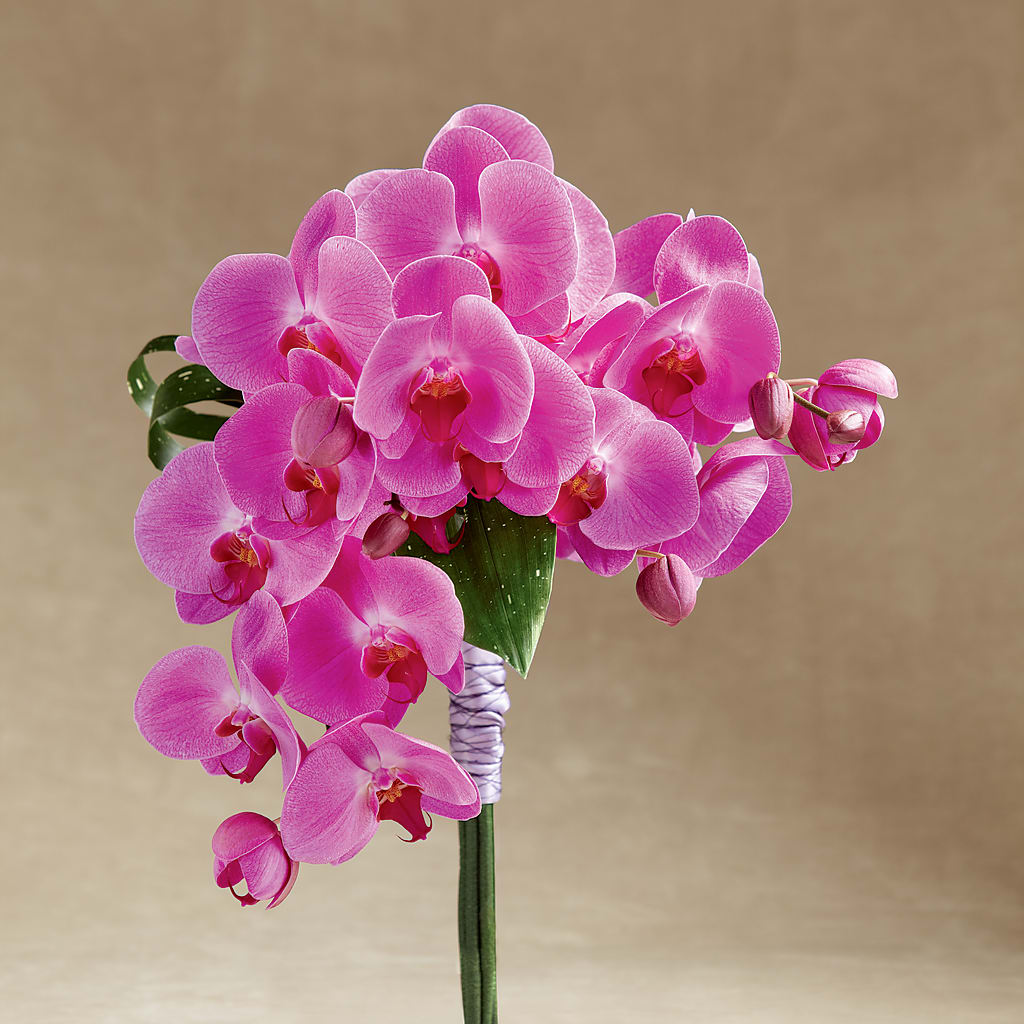 Glorious Bouquet – The Happy Florist, Sanford FL