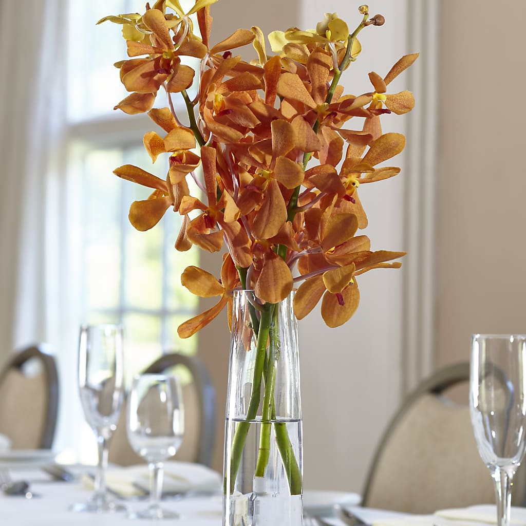 Orange Mokara Bud Vase – The Happy Florist, Sanford FL