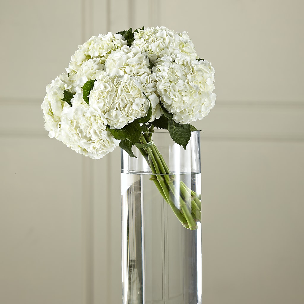 White Hydrangea Hand-Tied Bouquet – The Happy Florist, Sanford FL
