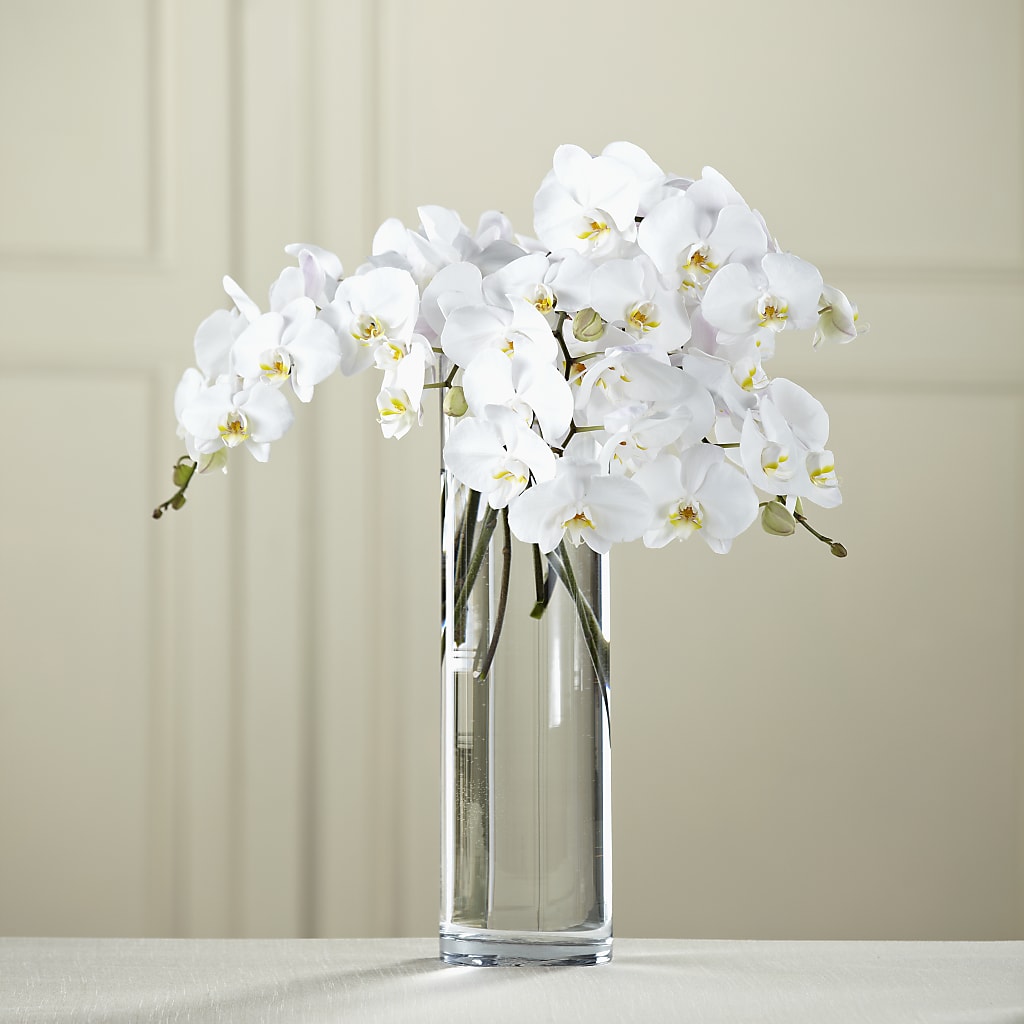 White Phalaenopsis Bouquet – The Happy Florist, Sanford FL
