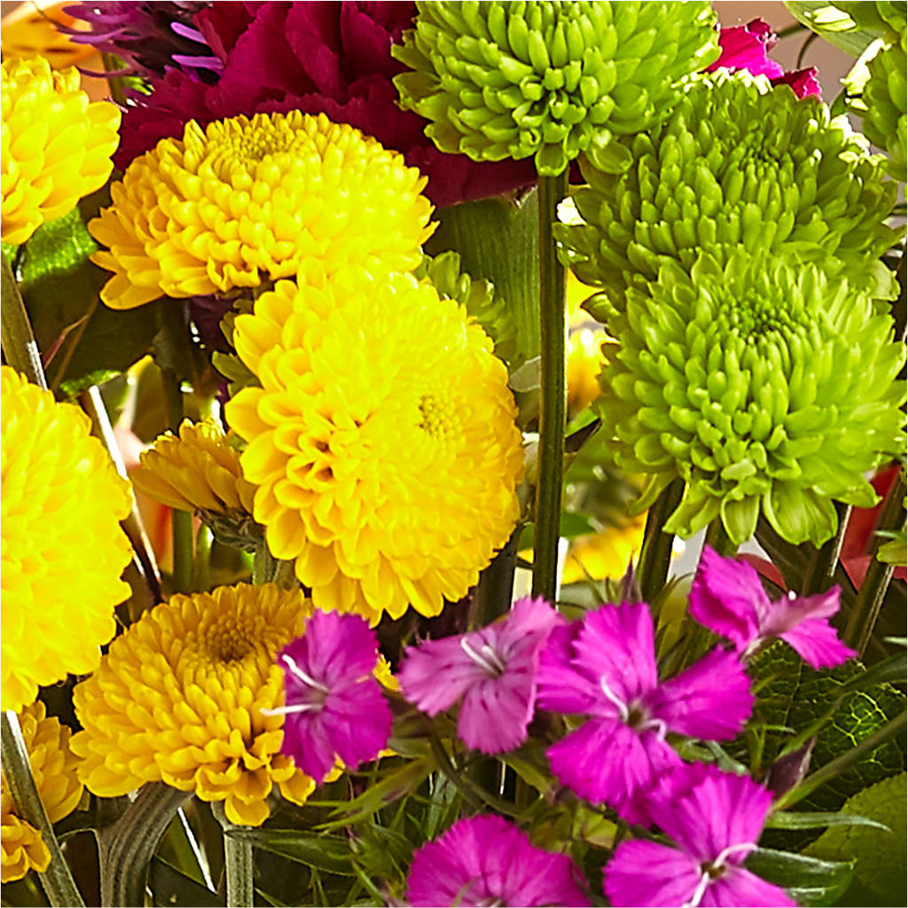 Bold & Bright – A Florist Original –  The Happy Florist, Sanford FL
