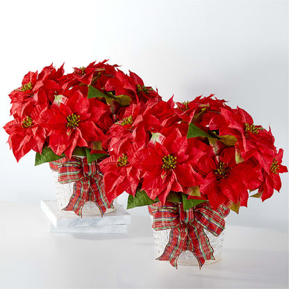 Happiest Holidays Poinsettia Bundle –  The Happy Florist, Sanford FL