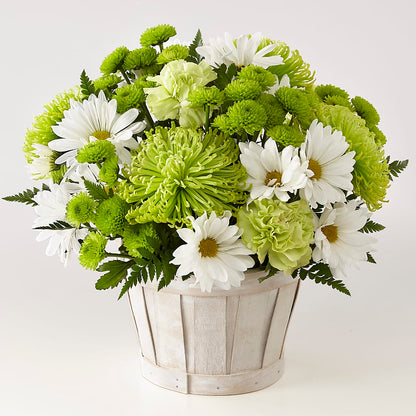 Lucky Charm Basket (Standard) –  The Happy Florist, Sanford FL