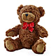Adorable Plush Bear –  The Happy Florist, Sanford FL