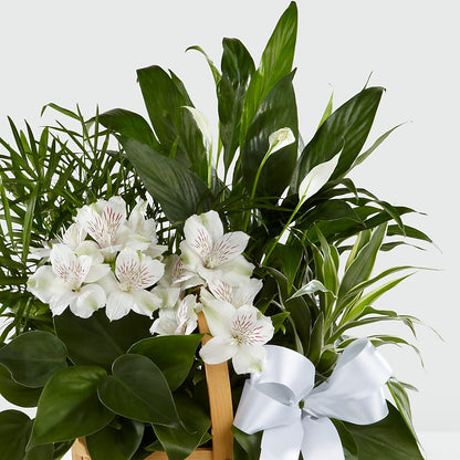 Peace & Serenity Dishgarden –  The Happy Florist, Sanford FL