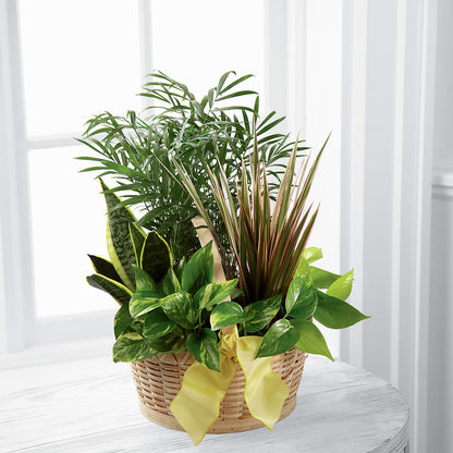 French Garden –  The Happy Florist, Sanford FL