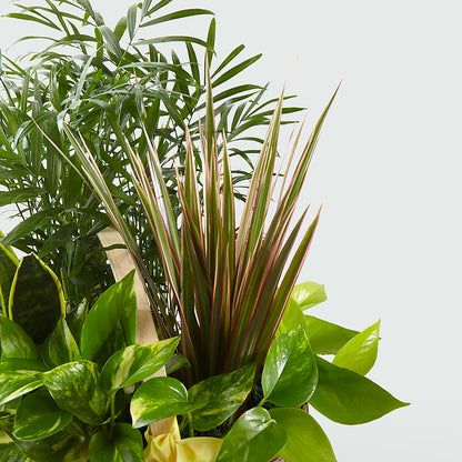 French Garden –  The Happy Florist, Sanford FL