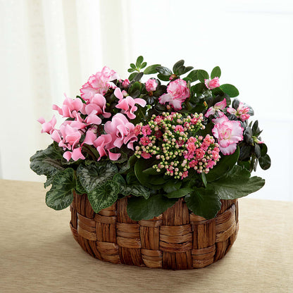 Pink Assortment –  The Happy Florist, Sanford FL