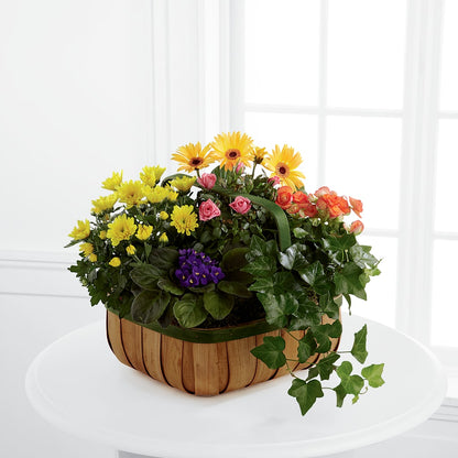Gentle Blossoms Basket –  The Happy Florist, Sanford FL