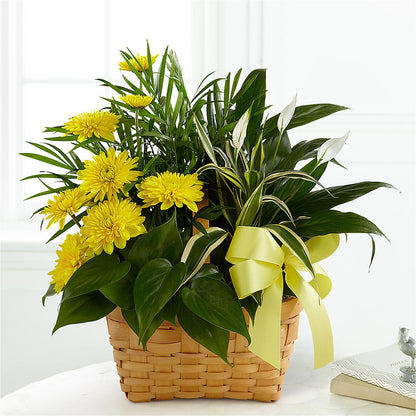 Loving Light Dishgarden –  The Happy Florist, Sanford FL