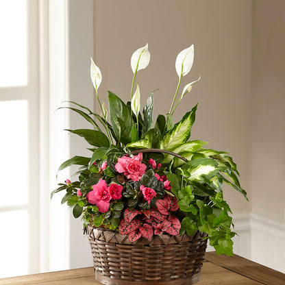 Dream in Pink Dishgarden –  The Happy Florist, Sanford FL