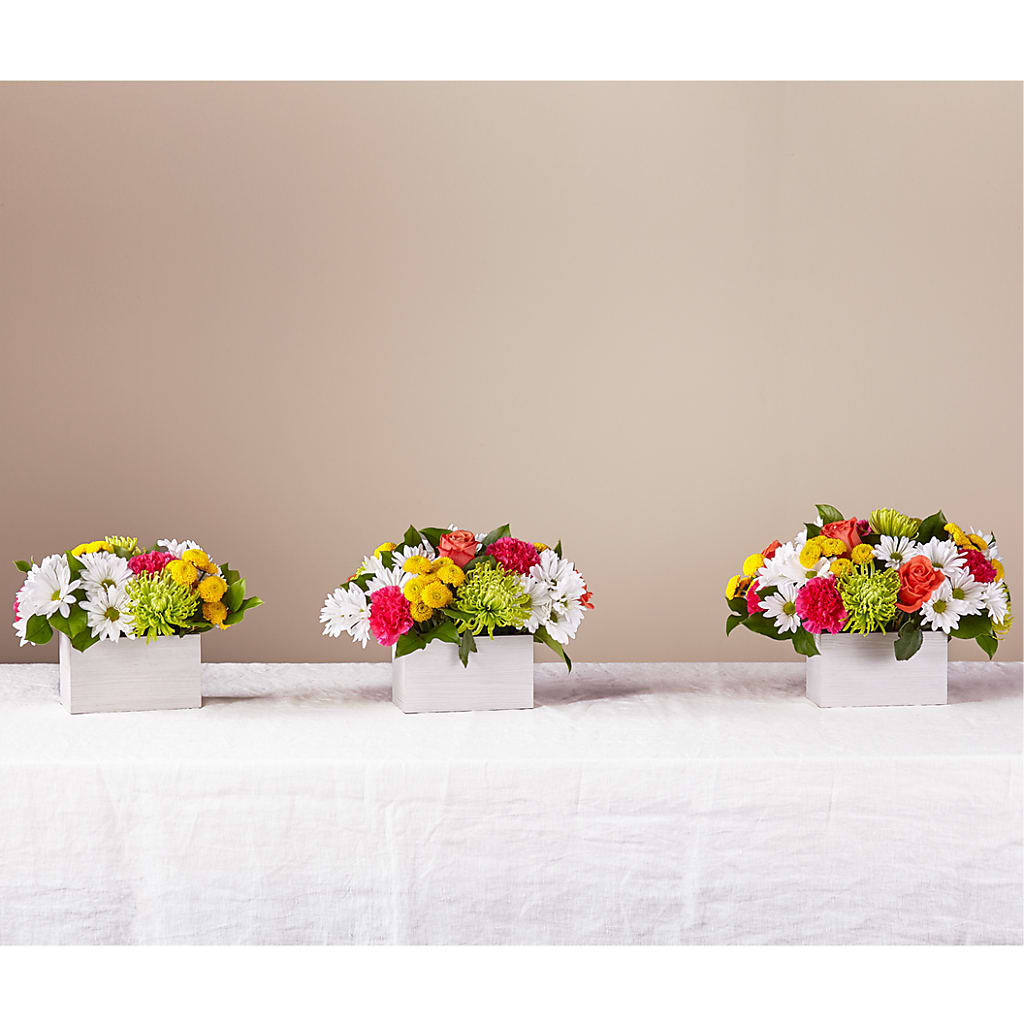 Sorbet Bouquet –  The Happy Florist, Sanford FL