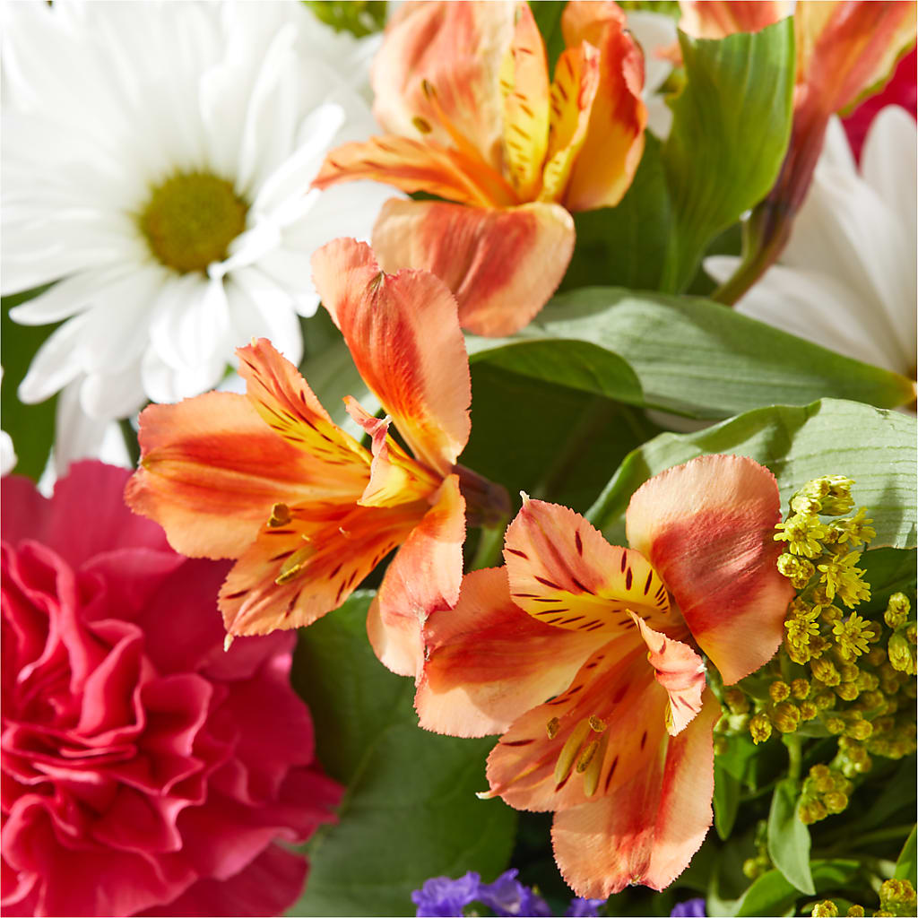 Oopsie Daisy Box Bouquet –  The Happy Florist, Sanford FL