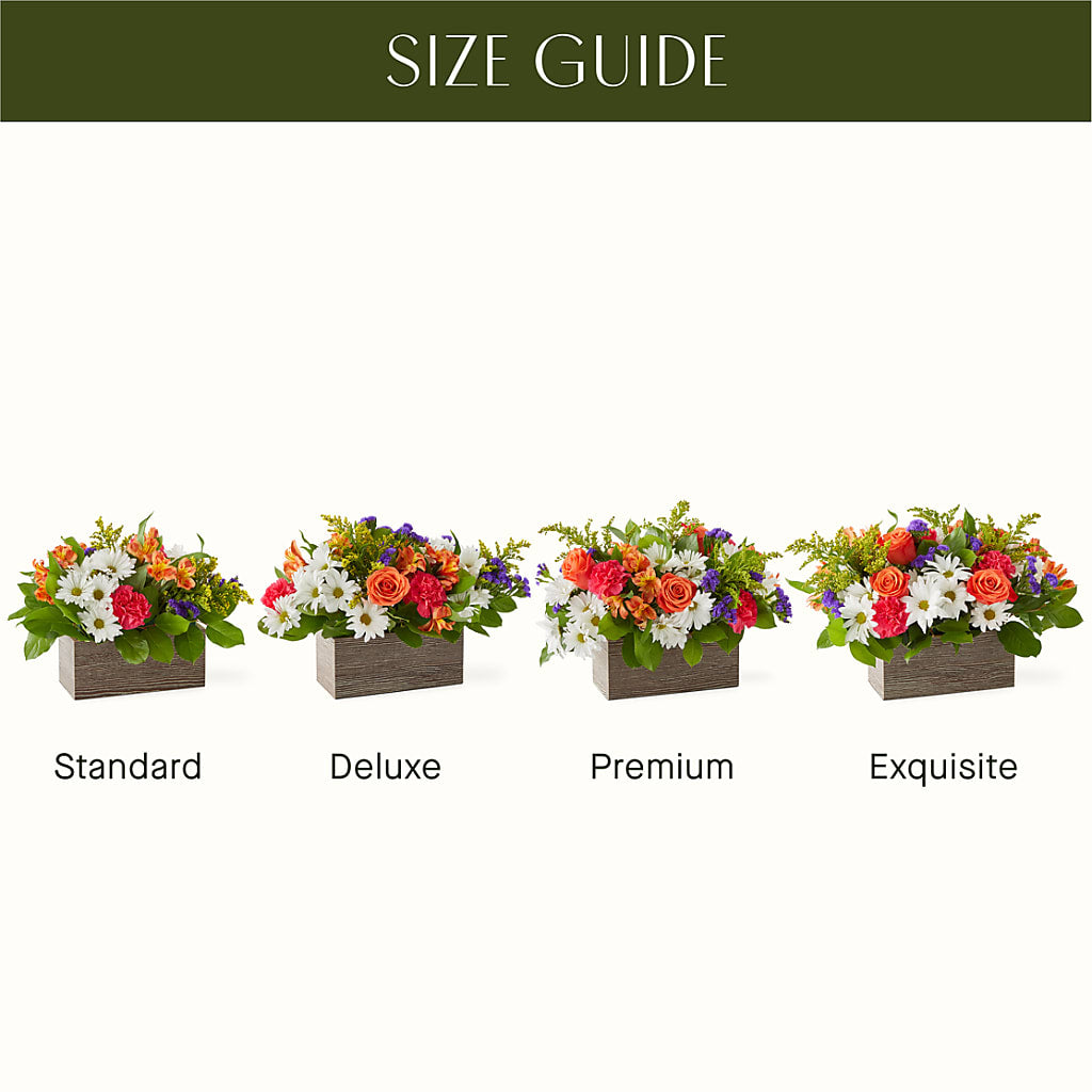 Oopsie Daisy Box Bouquet –  The Happy Florist, Sanford FL