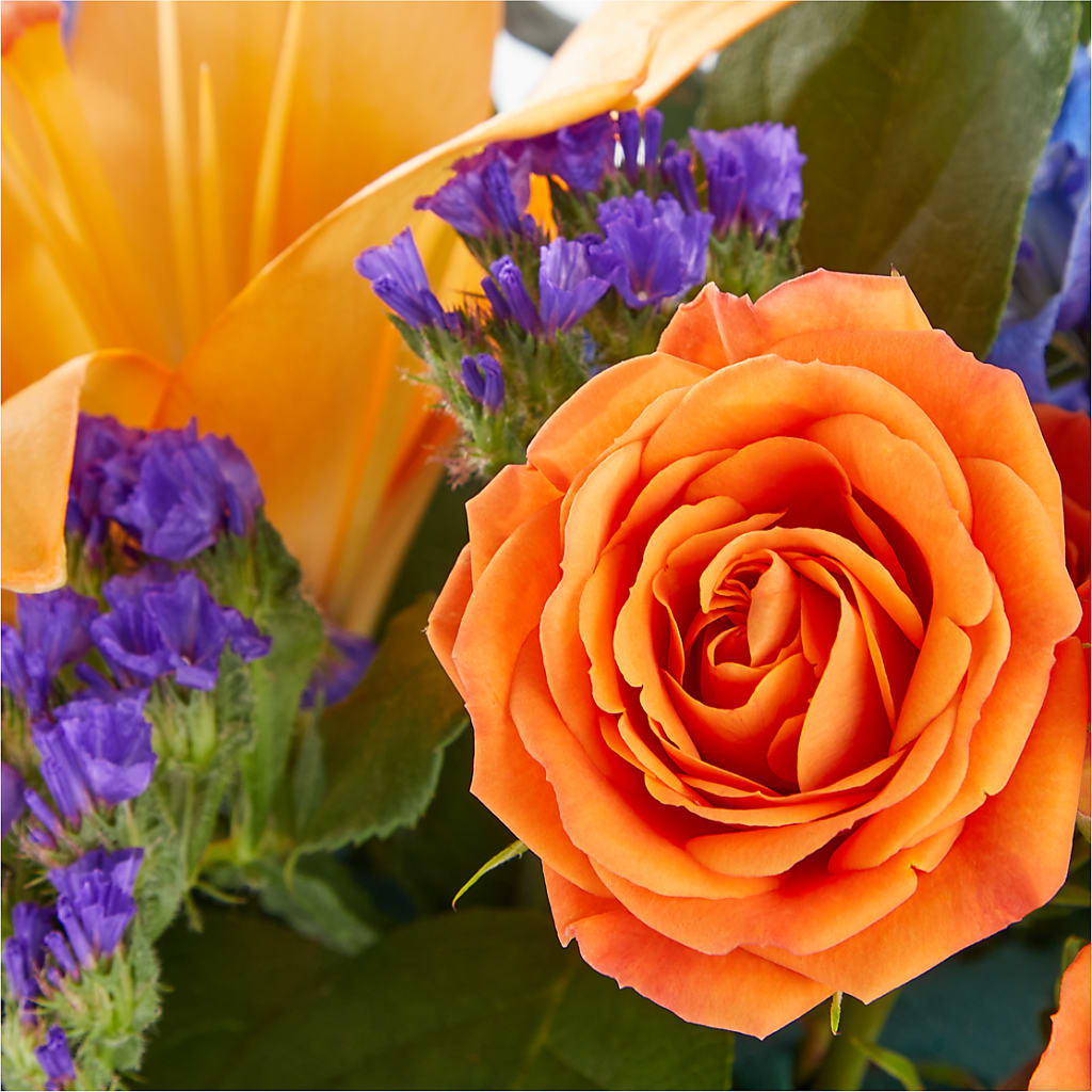 Radiant Citrus Box Bouquet –  The Happy Florist, Sanford FL