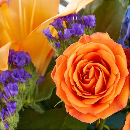 Radiant Citrus Box Bouquet –  The Happy Florist, Sanford FL