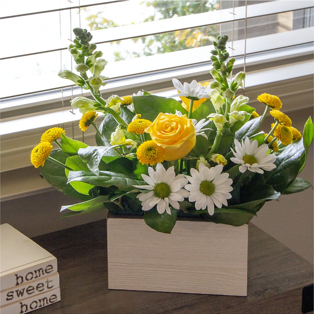 Sun Salutation Box Bouquet –  The Happy Florist, Sanford FL