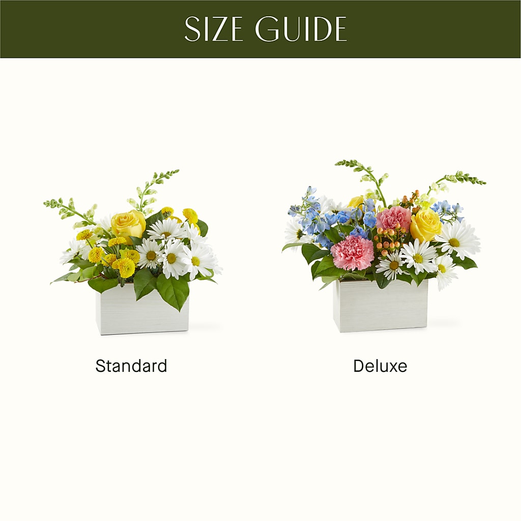 Sun Salutation Box Bouquet –  The Happy Florist, Sanford FL
