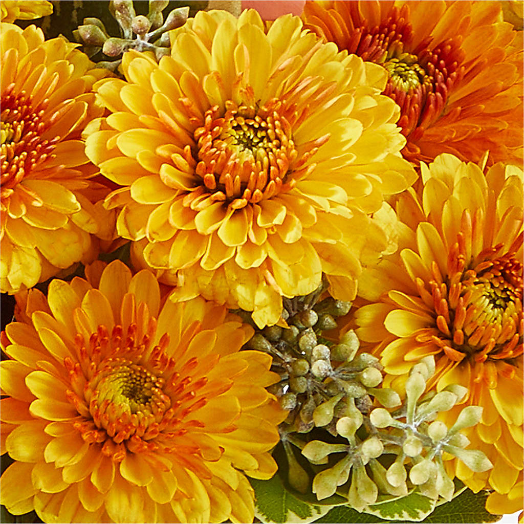 Peachy Pumpkin –  The Happy Florist, Sanford FL