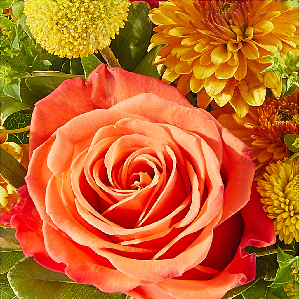 Gourdgeous Pumpkin –  The Happy Florist, Sanford FL