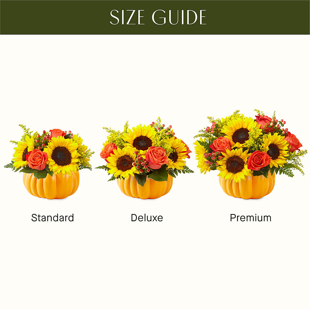 Pick of the Patch Pumpkin Bouquet –  The Happy Florist, Sanford FL