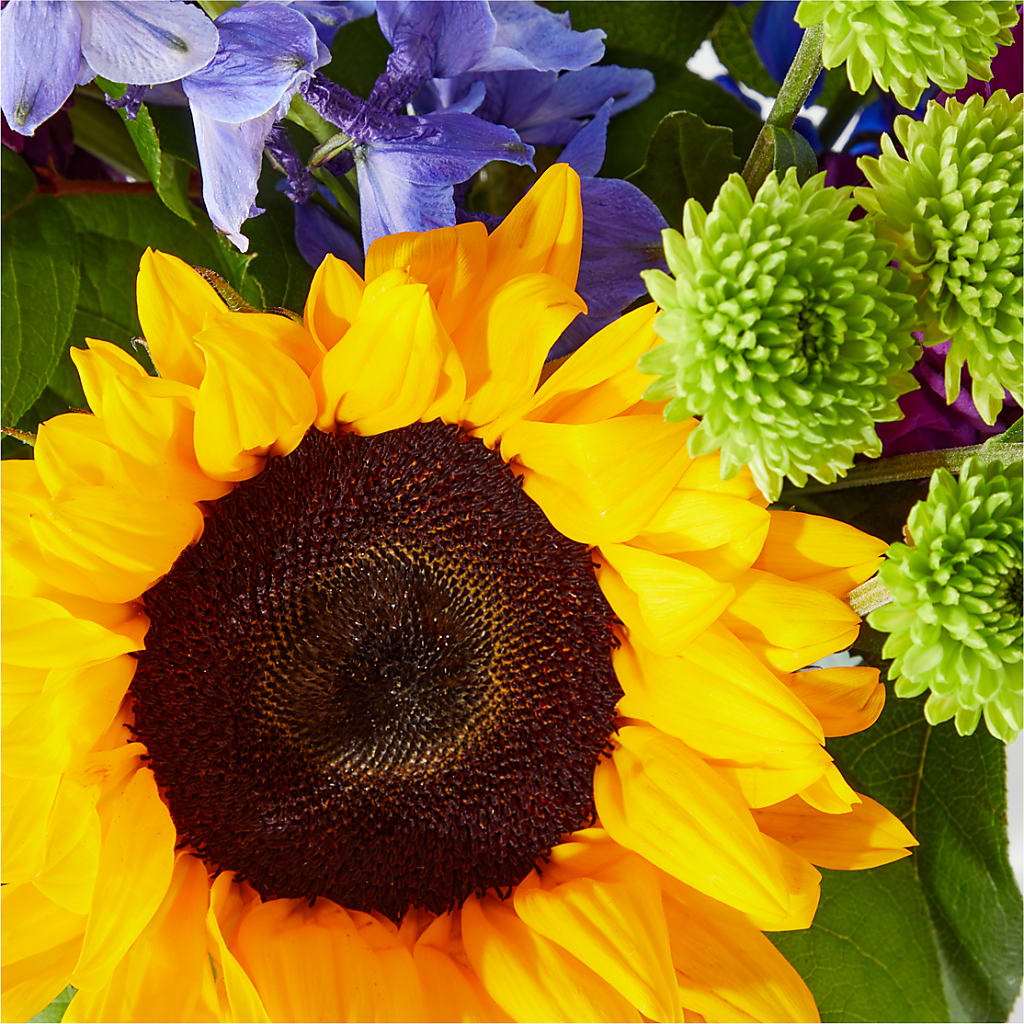 Catching Rays Bouquet –  The Happy Florist, Sanford FL