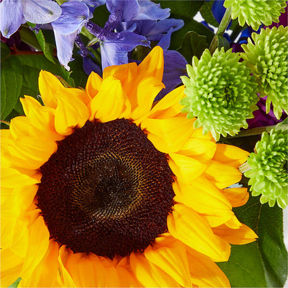 Catching Rays Bouquet –  The Happy Florist, Sanford FL