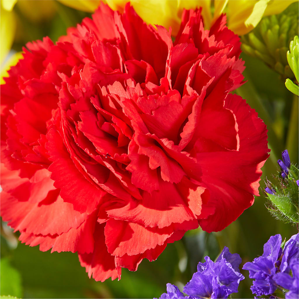 Brighter Days Bouquet –  The Happy Florist, Sanford FL