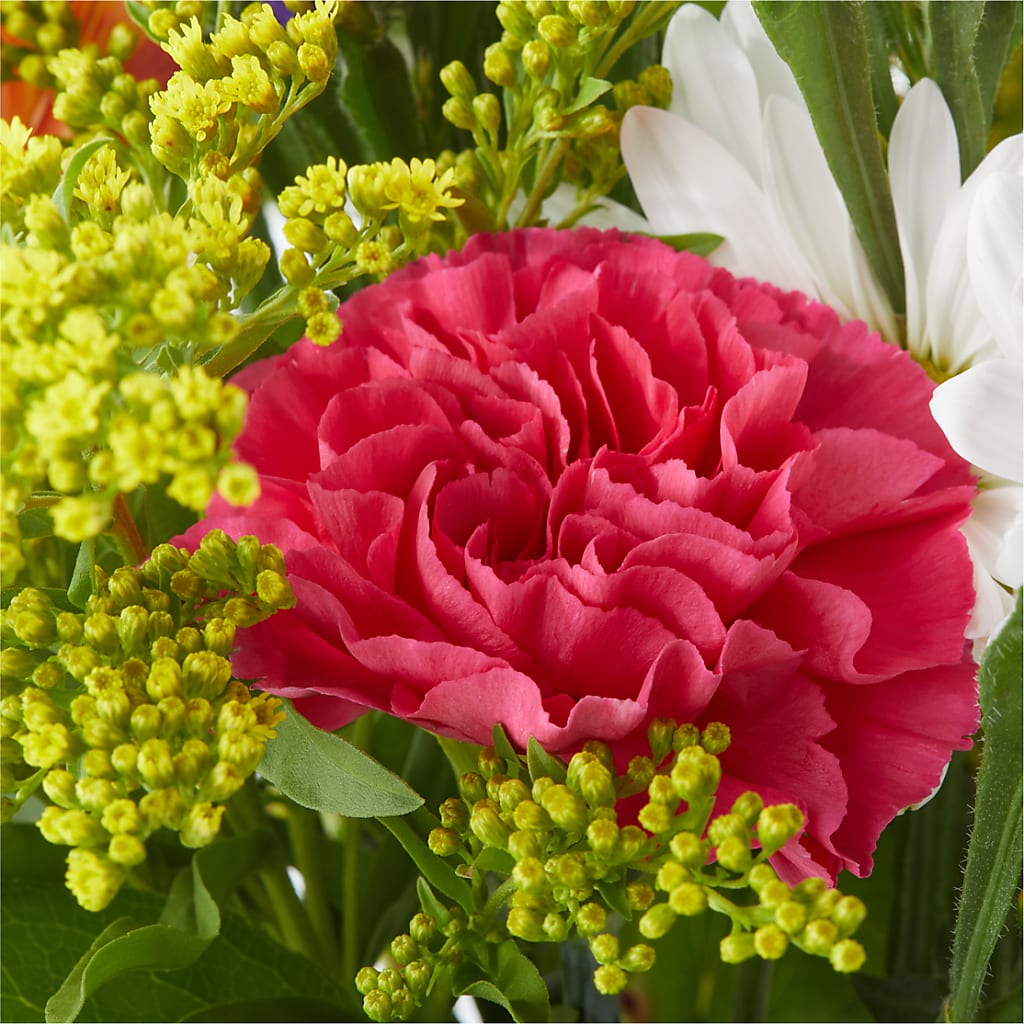 Oopsie Daisy Bouquet –  The Happy Florist, Sanford FL
