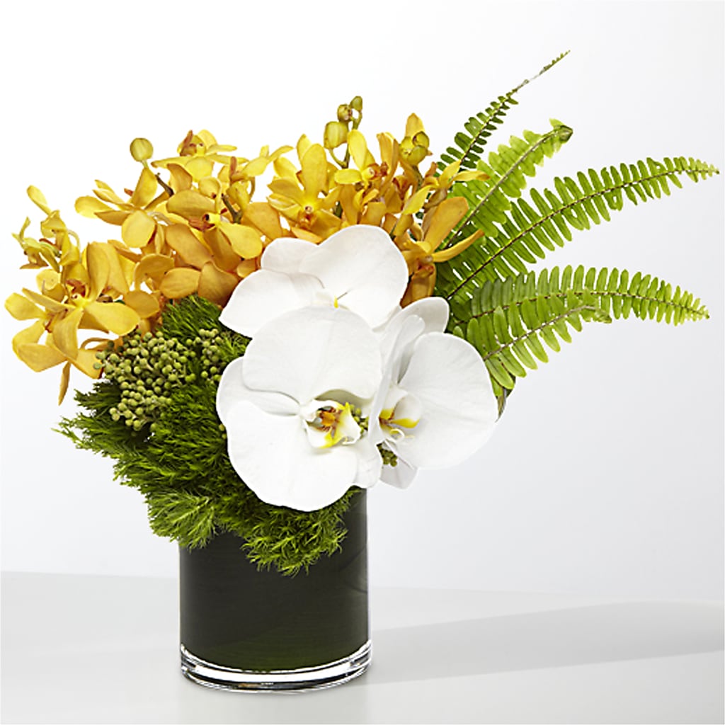 The Tropics –  The Happy Florist, Sanford FL
