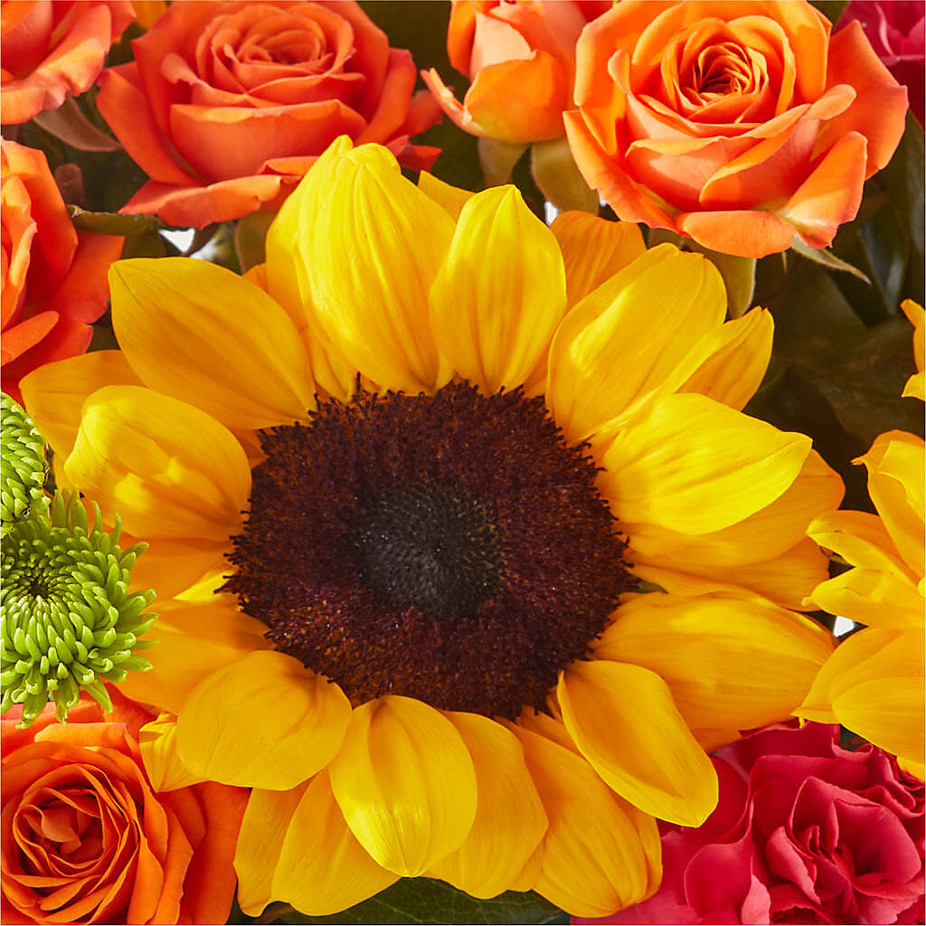 Sun-drenched Blooms Box Bouquet –  The Happy Florist, Sanford FL