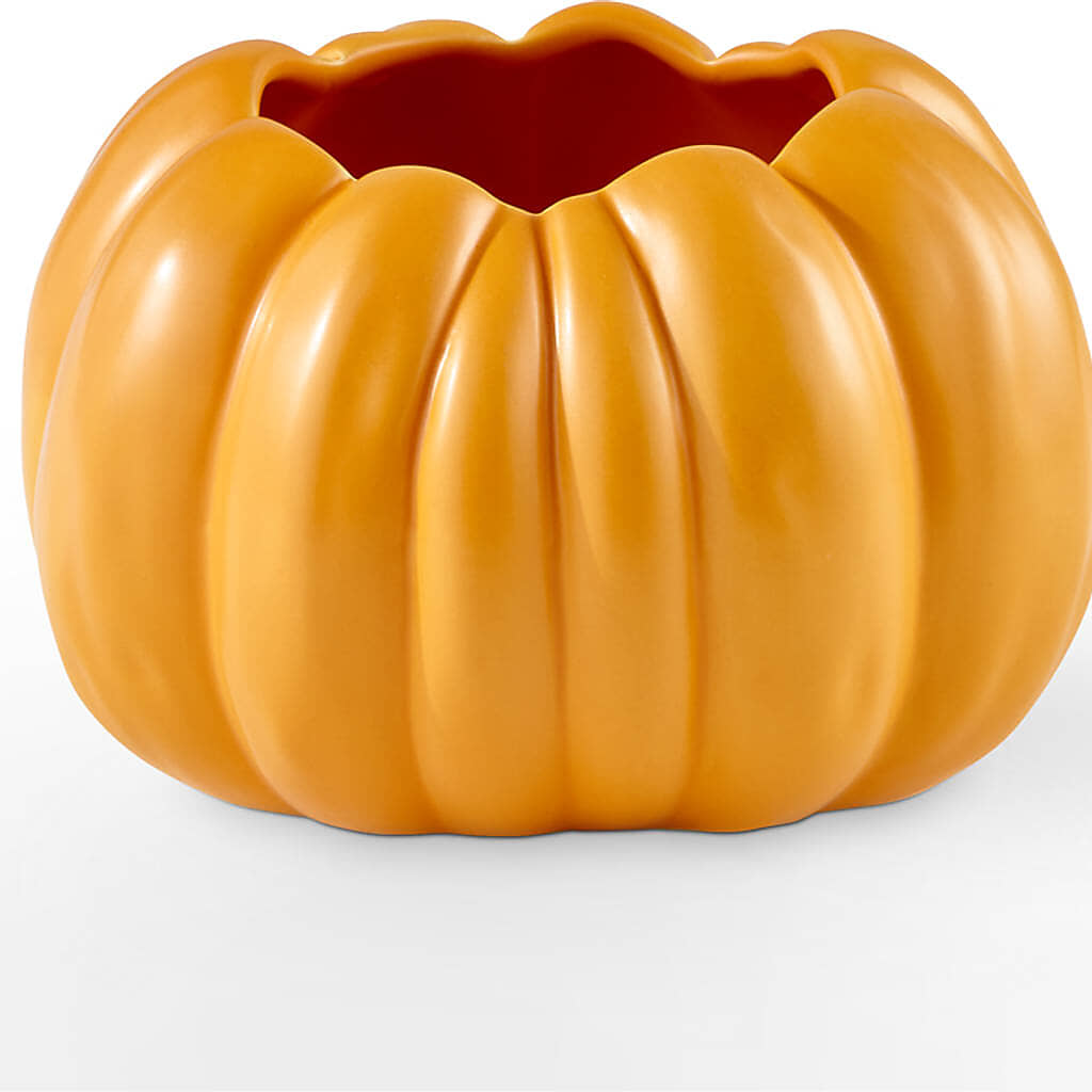 Golden Gourd Pumpkin Bouquet –  The Happy Florist, Sanford FL