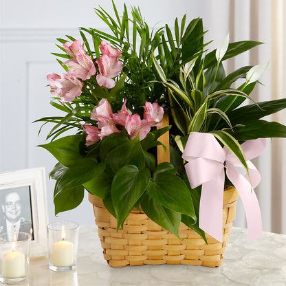 Living Spirit Dishgarden –  The Happy Florist, Sanford FL