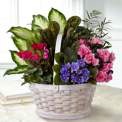 Peaceful Garden Planter –  The Happy Florist, Sanford FL