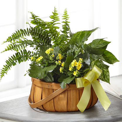 Always Dear Dishgarden –  The Happy Florist, Sanford FL