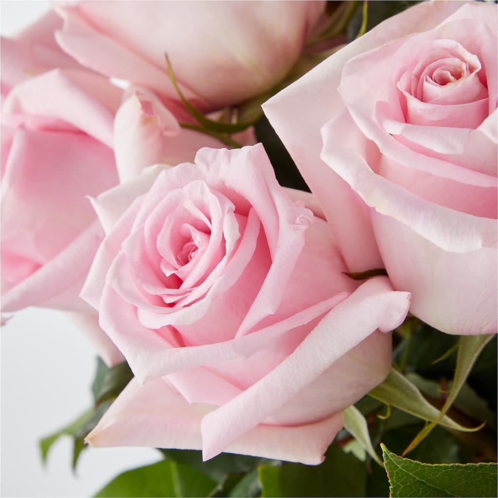Picture Perfect Pink Rose Bouquet –  The Happy Florist, Sanford FL