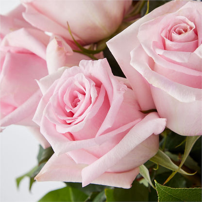 Picture Perfect Pink Rose Bouquet –  The Happy Florist, Sanford FL
