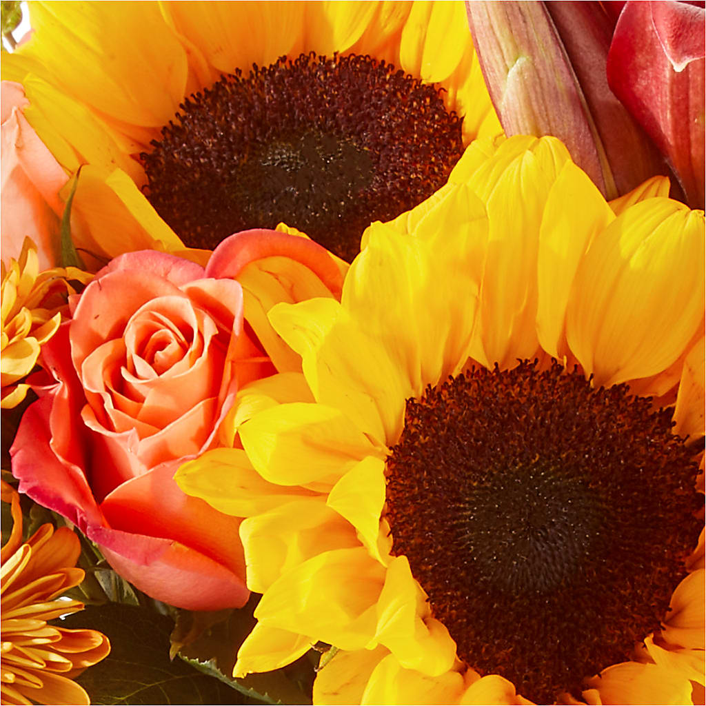 Acorn Lane Bouquet –  The Happy Florist, Sanford FL