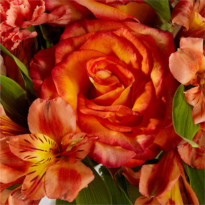 Apricot Glow Bouquet –  The Happy Florist, Sanford FL