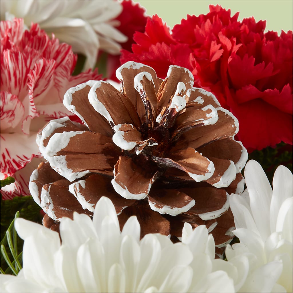 Candy Cane Lane Bouquet –  The Happy Florist, Sanford FL